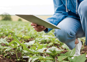El relevo generacional agrario, vinculado a la innovación y las nuevas tecnologías