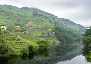 La Ruta del Vino Ribeira Sacra se incorpora al club de Rutas del Vino de España 