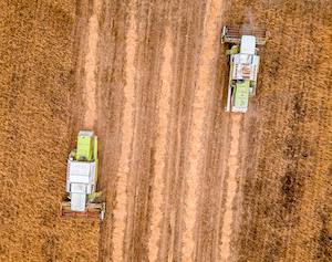 Las previsiones para la campaña de cereales son de recuperación, gracias a las condiciones climáticas