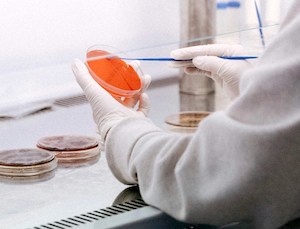 Tres jóvenes científicos y sus investigaciones que impulsarán la transformación alimentaria