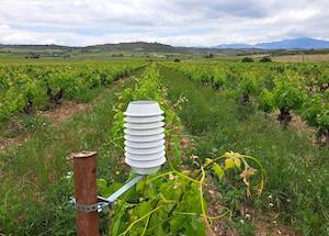 Tres startups españolas seleccionadas por Test Farms, programa europeo para validar la tecnología sobre el terreno