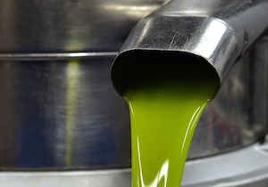 Cambios legales para una mayor transparencia en el mercado del aceite de oliva
