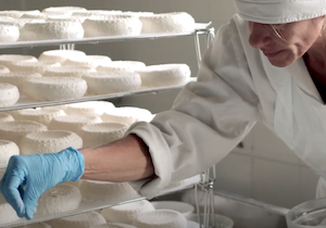 Cheese, el evento internacional de Slow Food dedicado al queso de leche cruda
