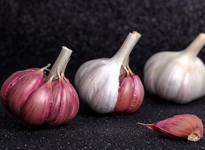 Comienza la Feria Internacional del Ajo de Las Pedroñeras