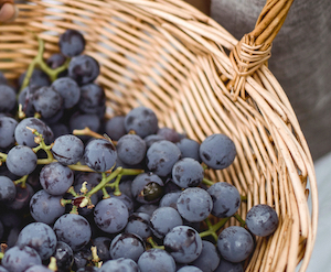 El cambio climático, una amenaza para la producción de cava