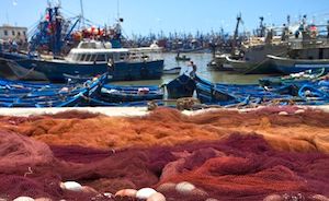 España recurre ante el Tribunal de Justicia de la UE la prohibición de la pesca de palangre de fondo