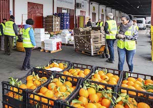 Guía para ayudar a las empresas a cumplir la nueva ley contra el desperdicio alimentario