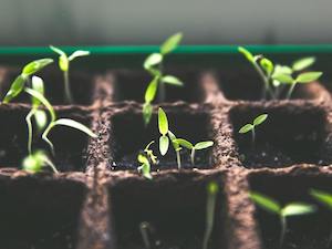 Nuevos datos sobre el impacto de la producción de alimentos en el medioambiente