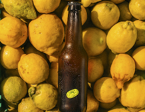 Una cerveza elaborada con limones feos, salvados del desperdicio