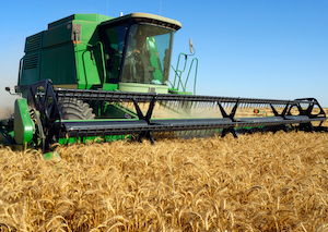 Casi 600 000 agricultores y ganaderos han solicitado las ayudas de la PAC