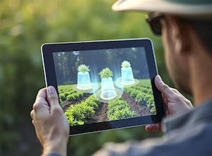 De cómo la digitalización puede mejorar la eficiencia en el sector agroalimentario