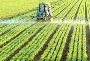 El precio medio de la tierra para uso agrario sigue creciendo