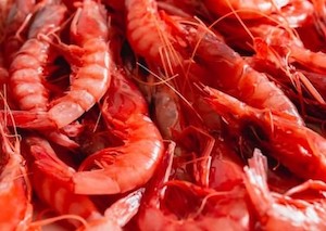 Este año tendremos más gamba roja