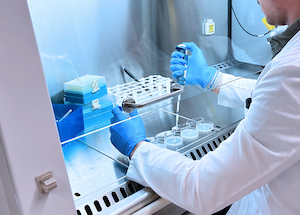 Estudio científico sobre el potencial de residuos agrícolas para mejorar la salud de la piel 