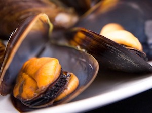 Fiesta del Mejillón y el Berberecho en Vilanova de Arousa