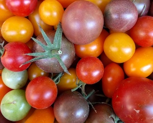 Fin de semana con el tomate antiguo como protagonista en Navarra
