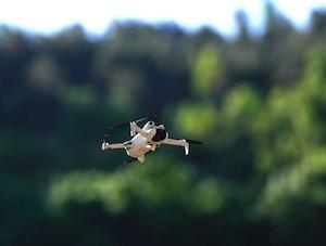 Un dron que detecta plagas y ahuyenta aves en explotaciones agrícolas 