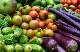 Se mantienen las facilidades para la exportación de productos ecológicos a Japón