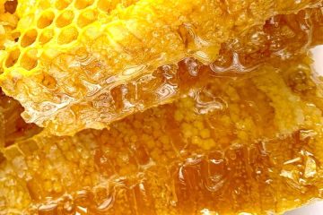 Tras dos años en mínimos históricos, la producción de miel crece un 20 %
