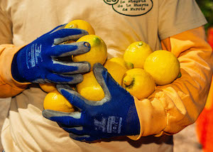 En defensa de los limones feos