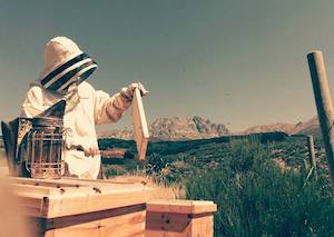Un proyecto que combina apicultura y apiturismo, ganador del Concurso de Buenas Prácticas en Bioeconomía Forestal