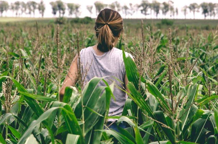 Premios de Excelencia a la Innovación para Mujeres Rurales