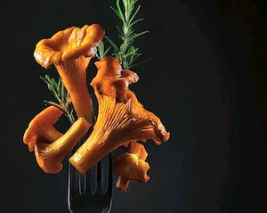 Congreso internacional Soria Gastronómica: vivir el monte, proteger las setas, crear sabor