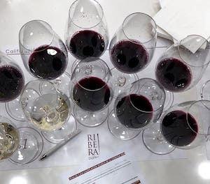 La añada 2024 de Ribera del Duero, calificada como Muy Buena