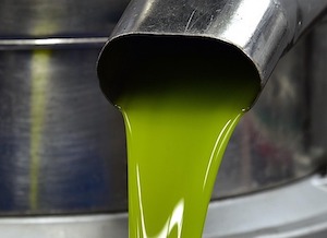La campaña de aceite de oliva, algo inferior a la anterior pero mayor que la media de los últimos seis años