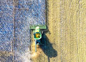 Los datos agrarios, pesqueros y alimentarios, analizados desde la perspectiva económica, social y medioambiental