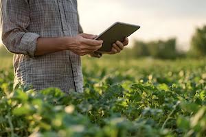 Los retos que el sector agroalimentario español deberá afrontar en los próximos años