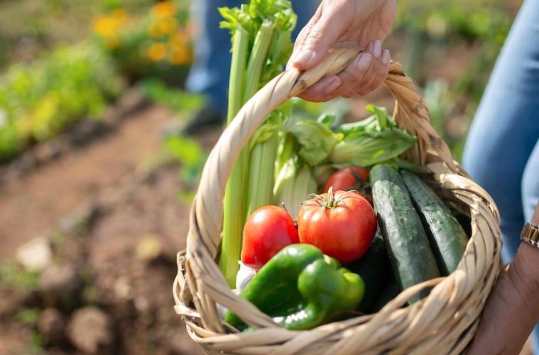 El Parlamento Europeo blinda los contratos por escrito en el campo
