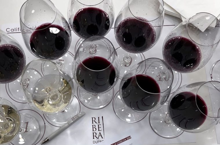 La añada 2024 de Ribera del Duero, calificada como Muy Buena (foto DOP)