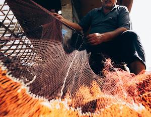 Hoy viernes, 21 de noviembre, Dia Mundial de la Pesca