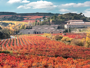 Las mejores bodegas del mundo, según Forbes
