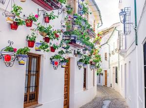 Los turistas británicos visitaron en lo que va de año un total de 326 municipios andaluces 