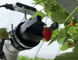 Startups internacionales que aportan innovación al ámbito agroalimentario (Foto MiFood)