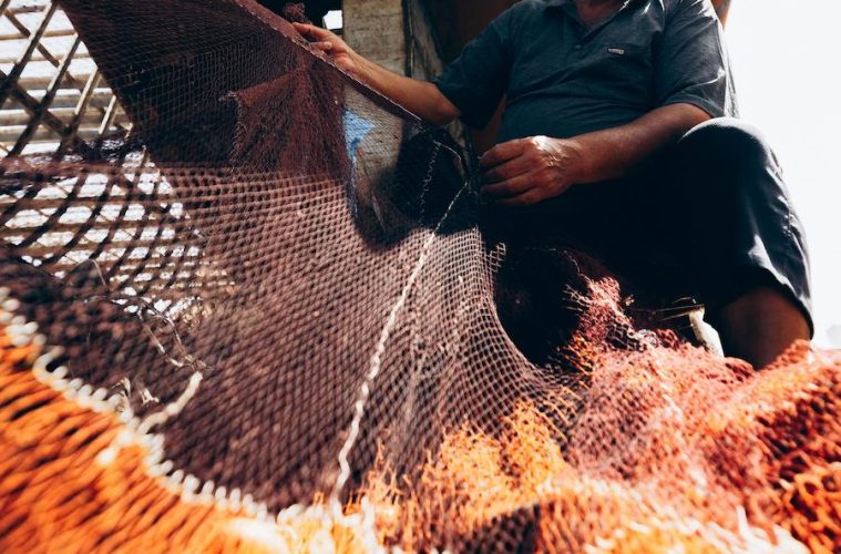 Hoy viernes, 21 de noviembre, Dia Mundial de la Pesca