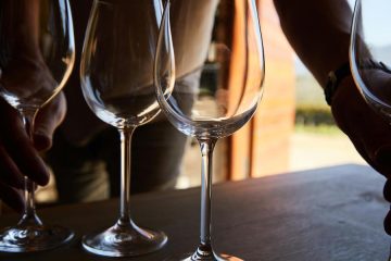 La importancia de la copa en la percepción de un vino