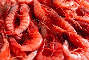 Estas navidades tendremos 9 toneladas más de gamba roja