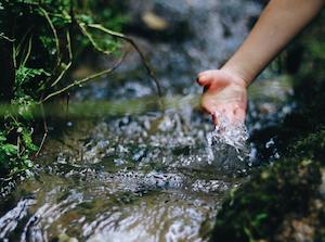 La FAO advierte sobre el agravamiento de la escasez global de agua