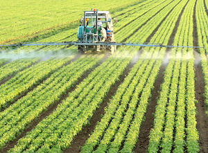 Los planes del Ministerio de Agricultura, Pesca y Alimentación para 2026