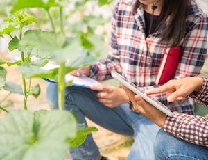 Nuevas medidas para impulsar el relevo generacional en la agricultura