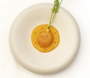 2Zanahoria escabeche- codorniz- vino, el mejor escabeche de España 2