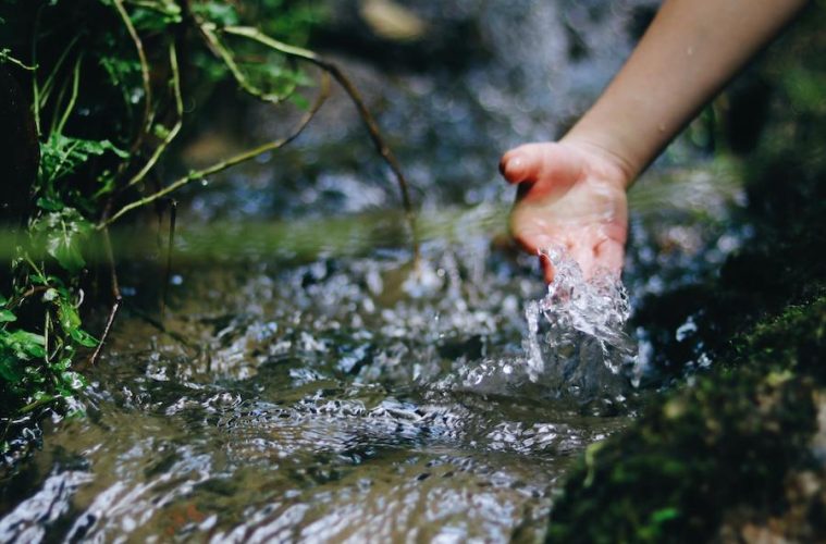 La FAO advierte sobre el agravamiento de la escasez global de agua