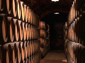 El Plan Estratégico del sector del vino hasta 2028