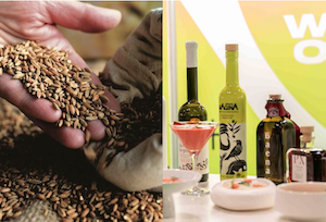 Este año, World Olive Oil Exhibition y Origin Natura se celebrarán conjuntamente en Madrid