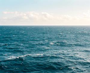 ¿Qué sabemos de lo que comemos del mar?