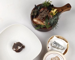 Platos ganadores del Concurso Internacional Cocinando con Trufa