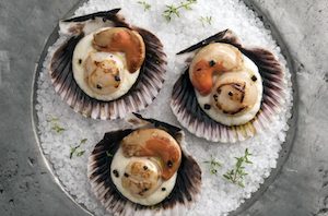 2Vieiras con crema de coliflor sobrante 2